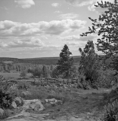 Djursdala 

Dok.110524/KG