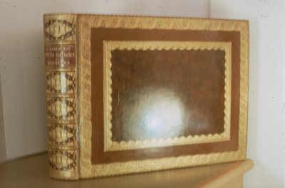 Bok
Suecia Antiqua....

090401/KG