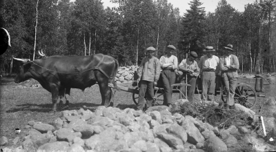 Grägarp

Dok.090311/SJ