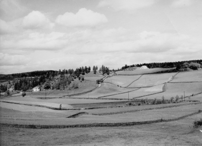 Djursdala sett från backen mellan kyrkan och byn.   