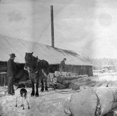 Vid sågen  Den låg på vägen mellan Ålhult och Vagelhem         Okänd