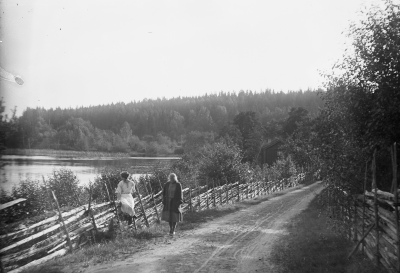 Hällebacka 

Många av bilderna i mappen Hällebacka kan lika gärna vara tagna kring Lidhem Locknevi.