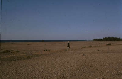 Öland strand man 

090519/KG
