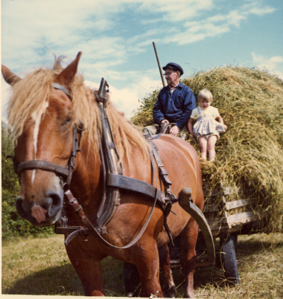 Hökörning i Södra Kvill. Axel Karlsson med barnbarnet Madeleine Gustafsson. 