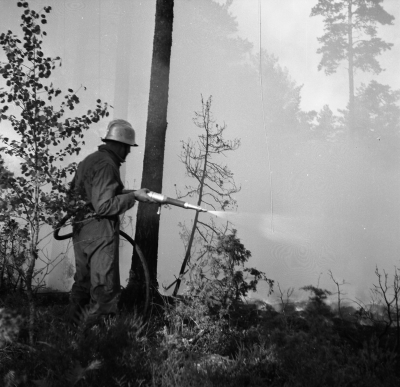 Pyromanbrand

Dok.110519/KG