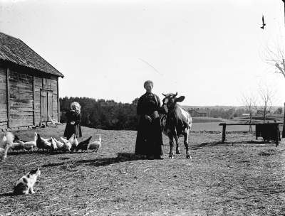 Olivia Nordén f Lindberg,  Dotter Vivan   Fågelhem Trekanten        U.F.