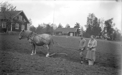 Plöjning i Danevik. I bakgrunden ser man Daneviks skola.