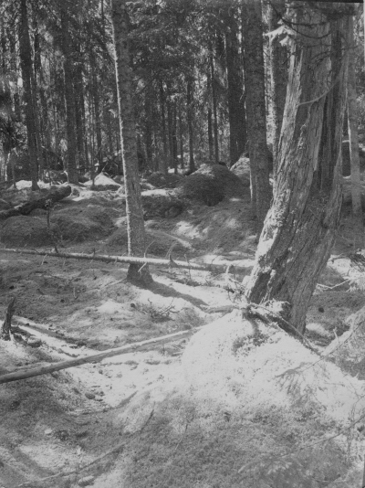 Norra Kvills Nationalpark. 