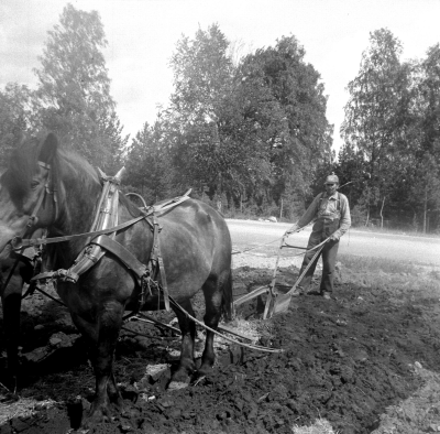 Lantbruk
- plöjning med häst -

Dok.110627/KG