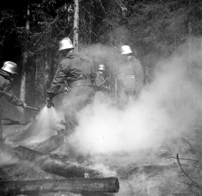 Skogsbrand i Pelarne

Dok.110519/KG