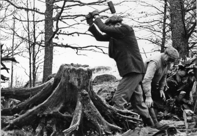 Tjärbränning vid Vagelhem Gullringen
september 1983