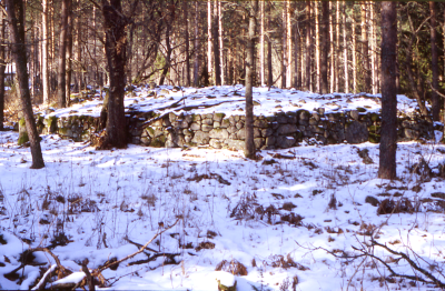 Odlingsröse vid Bråntorpet Gebo