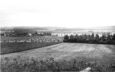 Från vattentornet omkring 1950.   T.E. 