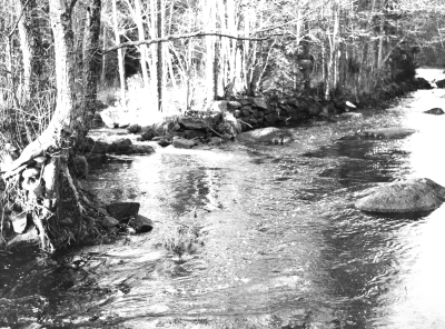 Bråneholms pappersbruk Södra Vi 1975. T.E.