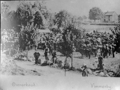 Oxmarknad i Vimmerby.