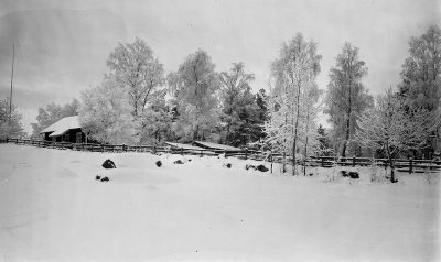 Vinterbild 
Vinterbild ifrån Danevik. Huset till vänster är Daneviks skola