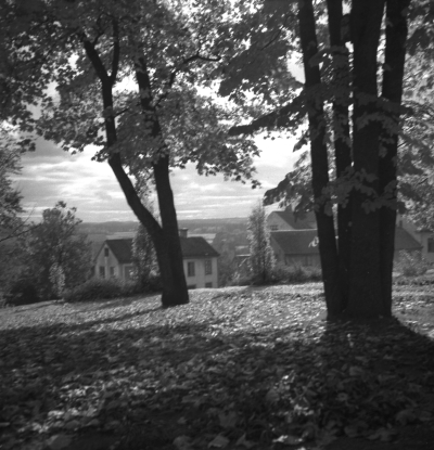 Kyrkparken

Dok.110623/KG