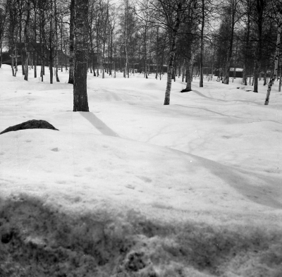 Vinterbild från Gästgivarehagen

Dok.110614/KG