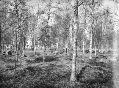 Gästgivarhagen. Gravfält