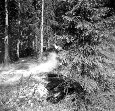 Skogsbrand i Pelarne

Dok.110519/KG