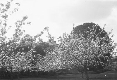 Hällebacka 

Många av bilderna i mappen Hällebacka kan lika gärna vara tagna kring Lidhem Locknevi.