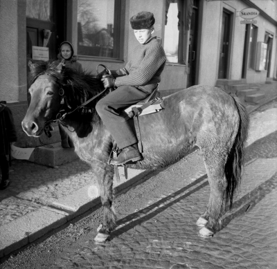Ridsport, Robin Landholm på Toby, Jöjje Liljegrens häst.

Dok.110615/KG