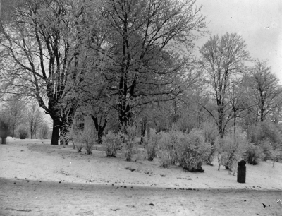Vinterbild 
Kyrkparken