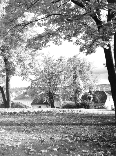 Storgatan sedd från kyrkoparken 1950-talet.   T.E.