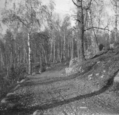 Vägen mellan Ålhult och Bosand. Taget vid "Kolbotten"      Okänd