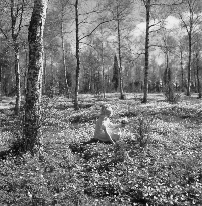 Nils Jonssons familj

Dok.110620/KG