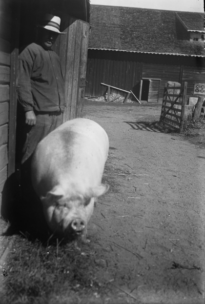 Karl - August Karlsson
Solhult 

Dok.090311/SJ