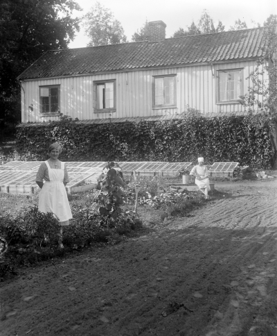 Hällebacka

Många av bilderna i mappen Hällebacka kan lika gärna vara tagna kring Lidhem Locknevi.