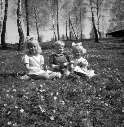 Nils Jonssons familj

Dok.110620/KG