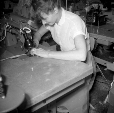 Mästersöm

Dok.110617/KG