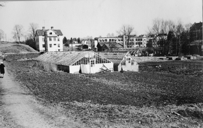 "Bomans handelsträdgård innan stadsbiblioteket byggdes år 1972." Thorvald Eriksson