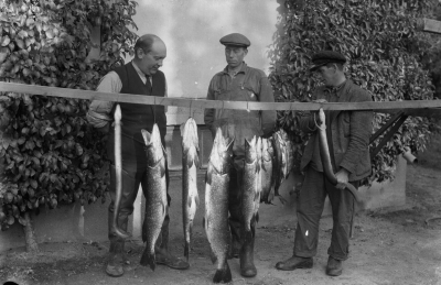 Arvid Svensson, fiskefänge



Dok.07-09-18/RS