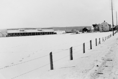 Bondebygatan och Ludwigsborgs ladugård  1940-talet . Första huset till höger utmed Bondebygatan heter Vinga, Det byggdes 1931 av Adrian Andersson. Såldes 1961 till Lundberg, svärson. 