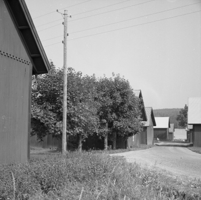 Djursdala

Dok.110524/KG