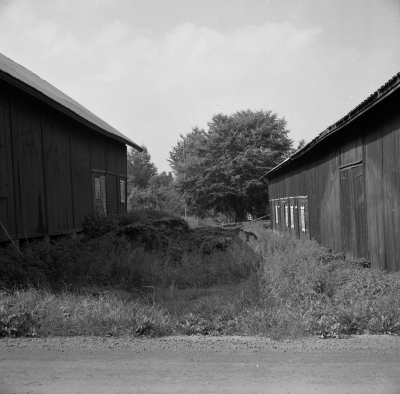 Djursdala

Dok.110524/KG