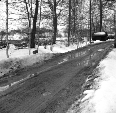 Vinterbild från Gästgivarehagen

Dok.110614/KG