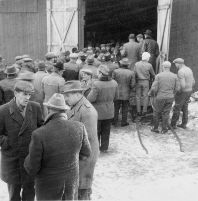 Auktion i Gebo
Alrik Andersson säljer av djur och maskiner
Mannen till vänster: Hilding Svensson Lillhem Vimmerby 