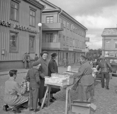 Torget
- marknad -
"torgmadame" Elmy Claesson-Kallin

Dok.110405/KG
