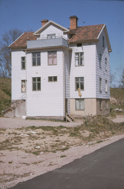 Västra Tullportsgatan 
Bomans handelsträdgård, Rosehill

090402/KG