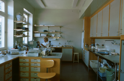 Sjukstugan laboratoriet

090512/KG