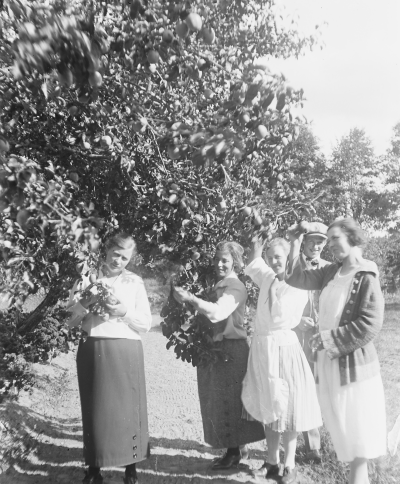 Hällebacka

Många av bilderna i mappen Hällebacka kan lika gärna vara tagna kring Lidhem Locknevi.