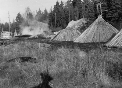 Tända och otända kolmilor

Dok.100604/KG