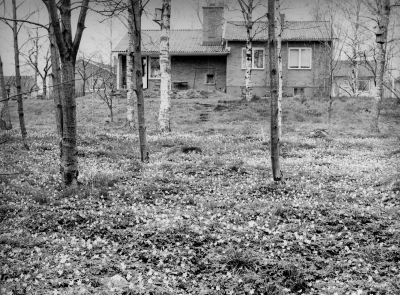 Baldersgatan 4. Vitsippeblom mot Gästgivarhagen. 