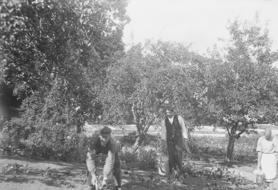 Hällebacka 

Många av bilderna i mappen Hällebacka kan lika gärna vara tagna kring Lidhem Locknevi.