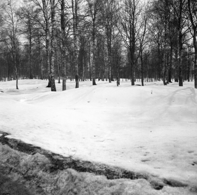 Vinterbild från Gästgivarehagen

Dok.110614/KG