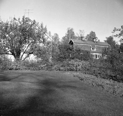 Näsområdet

Dok.110209/KG